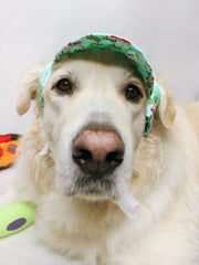 Happy Camper Summer Dog Hat
